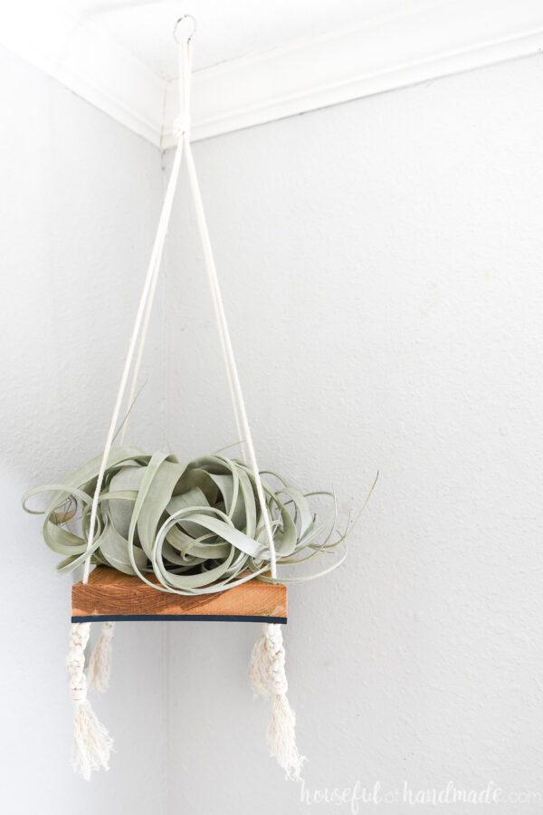 Hanging Air Plant Holder DIY Houseful of Handmade