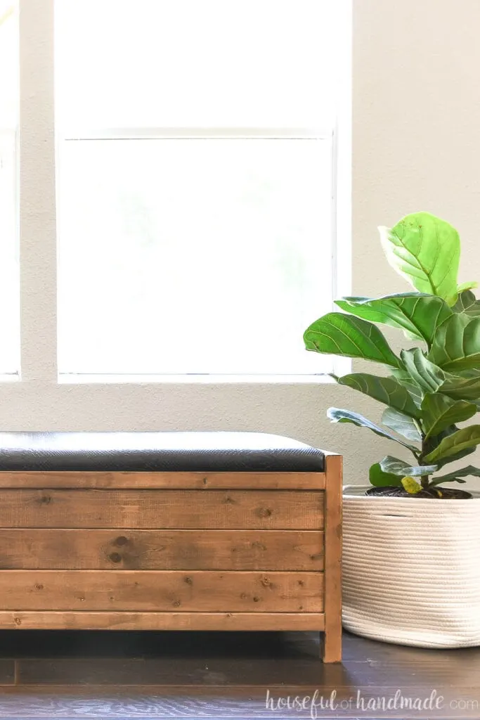 Half of the brown stained wood storage bench upholstered with a black faux leather top next to a plant in a cloth basket. 