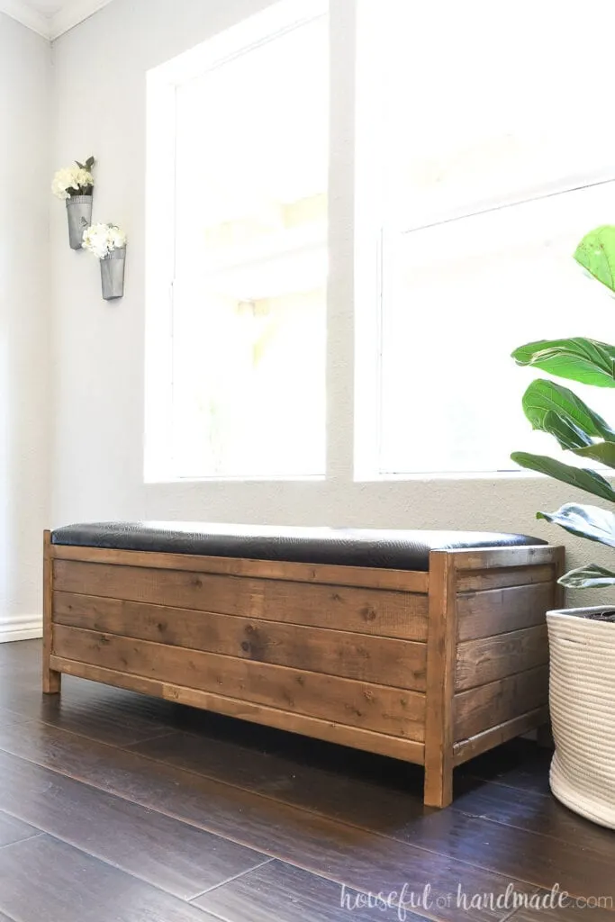 Upholstered storage bench with faux black leather top in front of a window next to a fiddle leaf fig plant. 