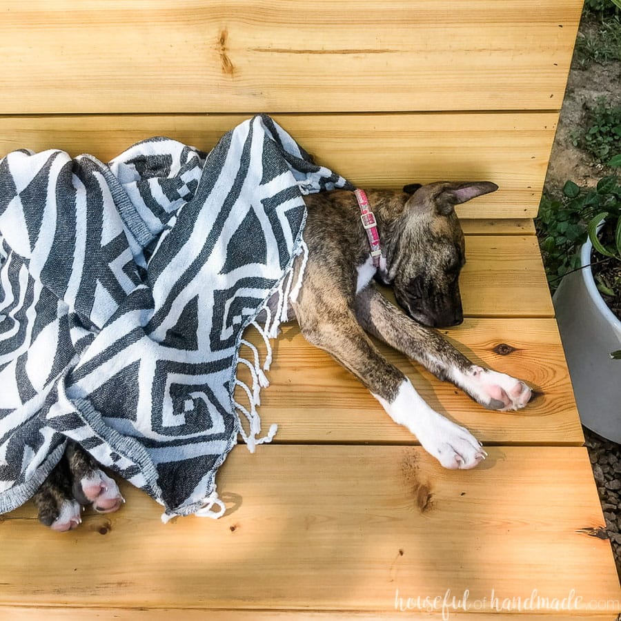 Square photo of puppy sleeping wrapped in beach towel on a fire pit bench.