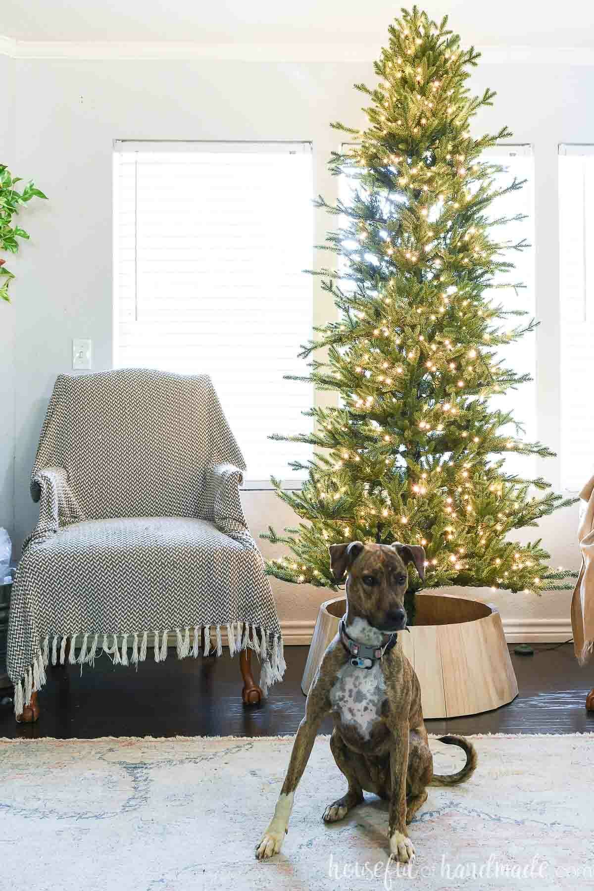 Christmas tree next to a Chair with a cover and a dog sitting on the floor in front. 