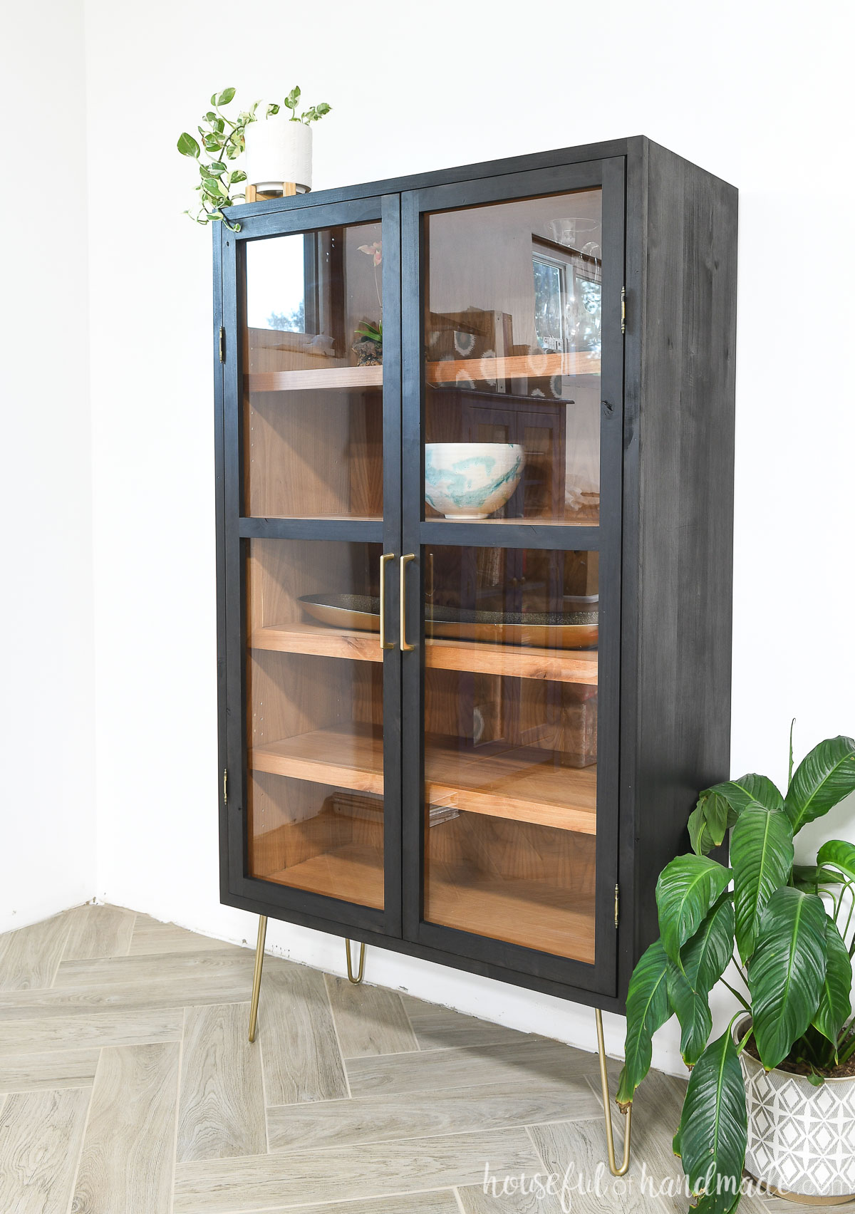 Black display cabinet with raw wood interior, gold hairpin legs, and glass doors next to a plant. 