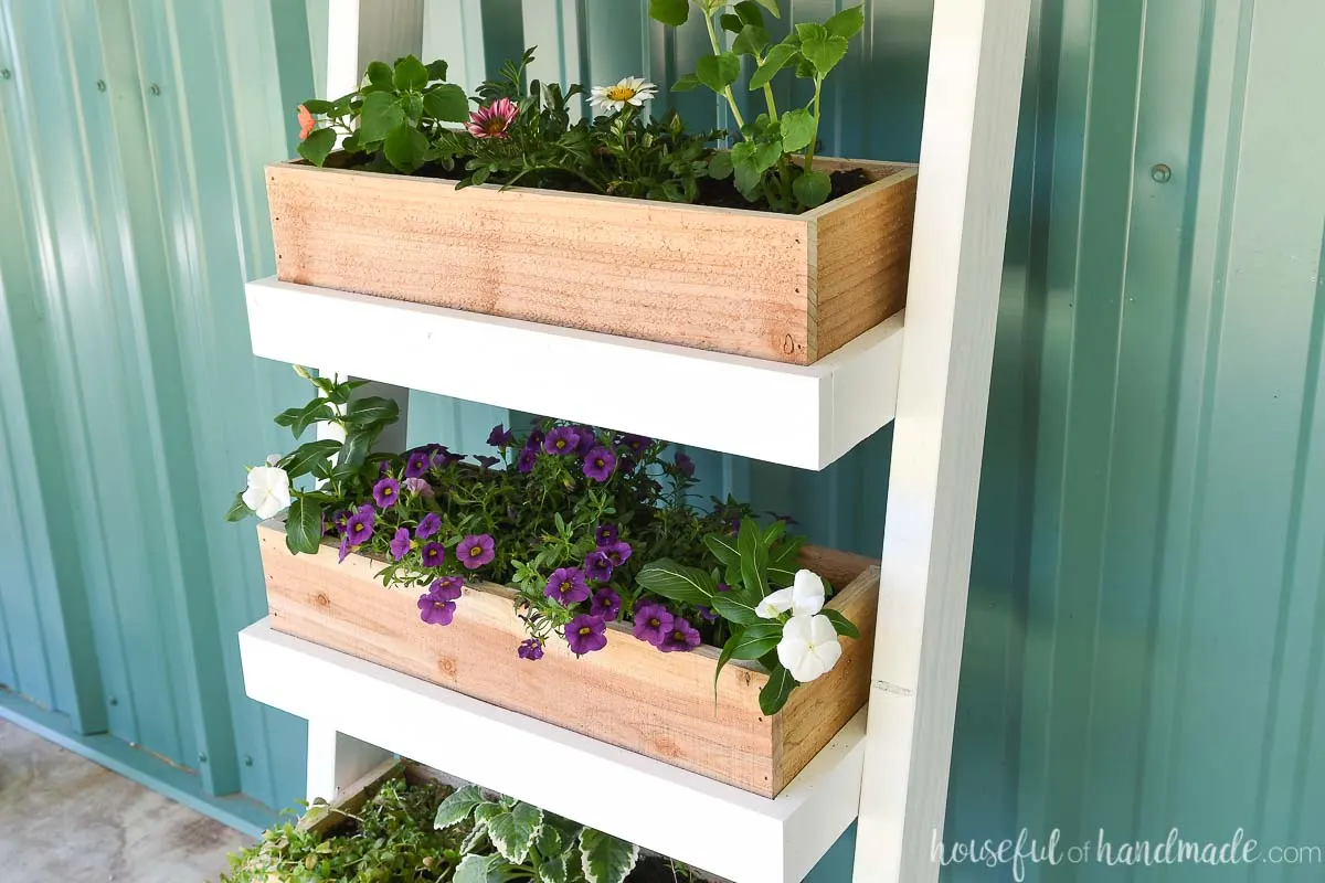 Close up of the cedar planter boxes on the vertical planter. 