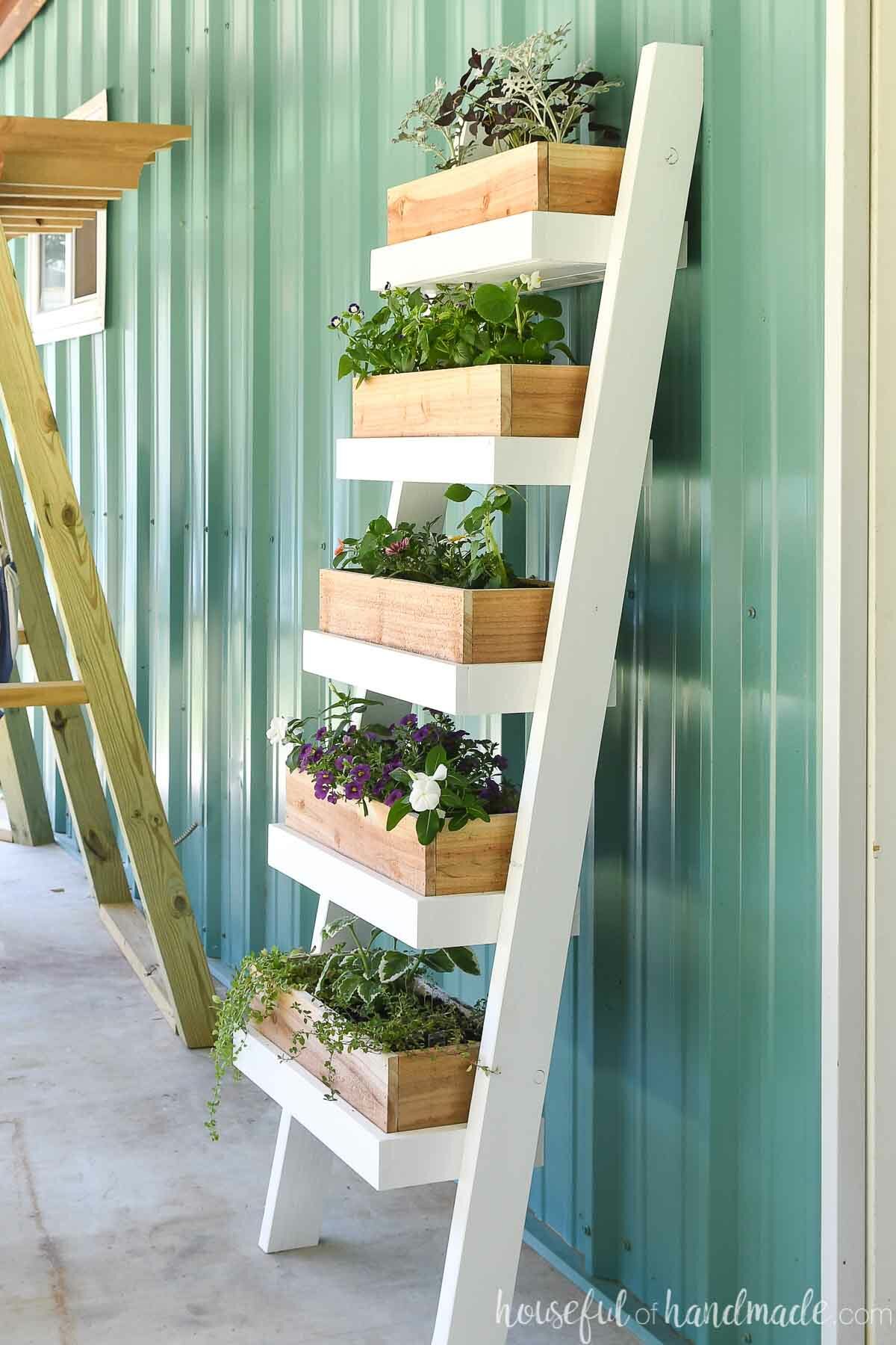 Side view of the DIY ladder planter with cedar boxes filled with flowers. 