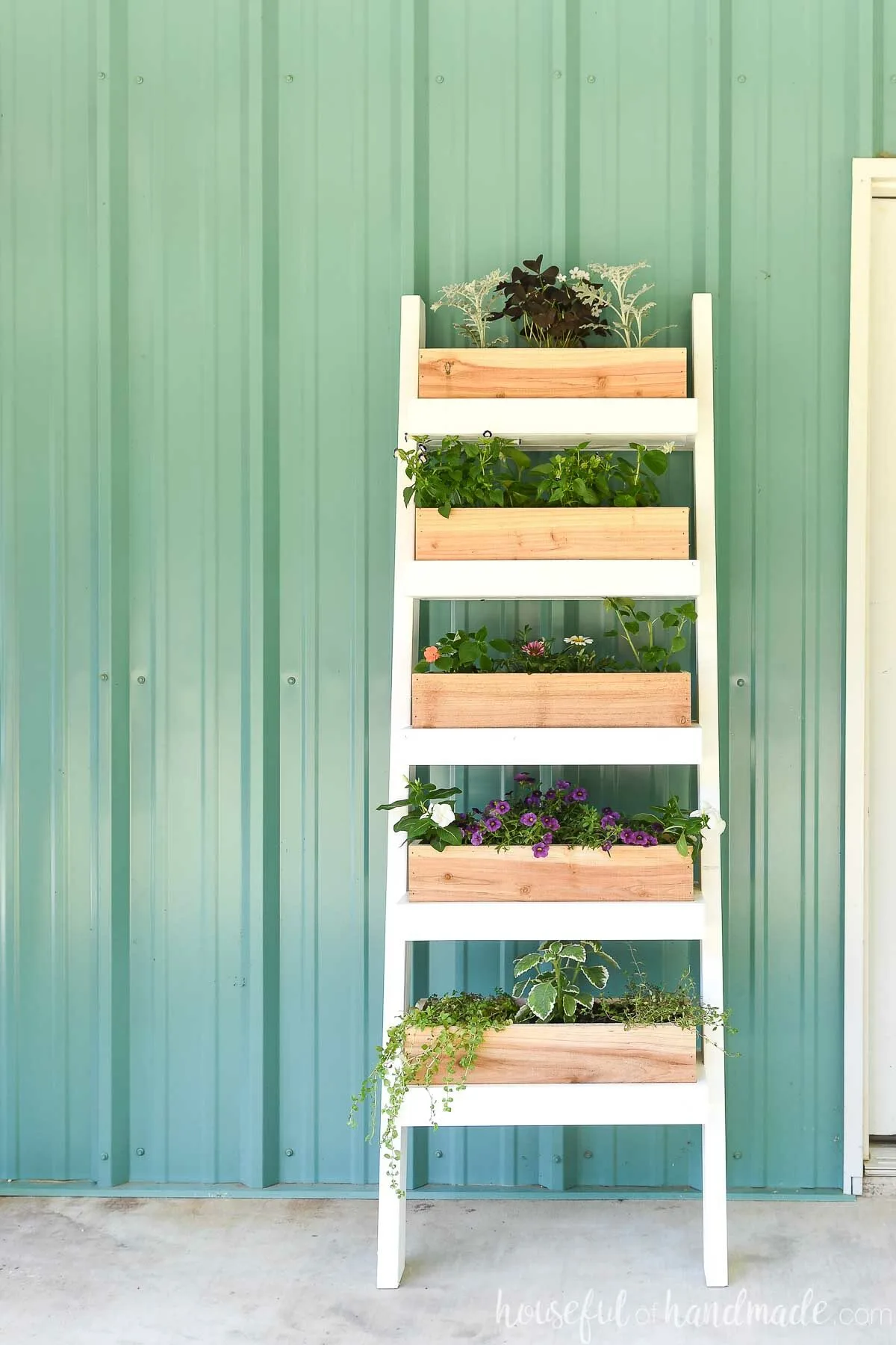 White and cedar vertical ladder garden leaning up against a teal wall. 