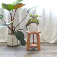 Triangle plant stand with a hexagon top made from wood scraps.