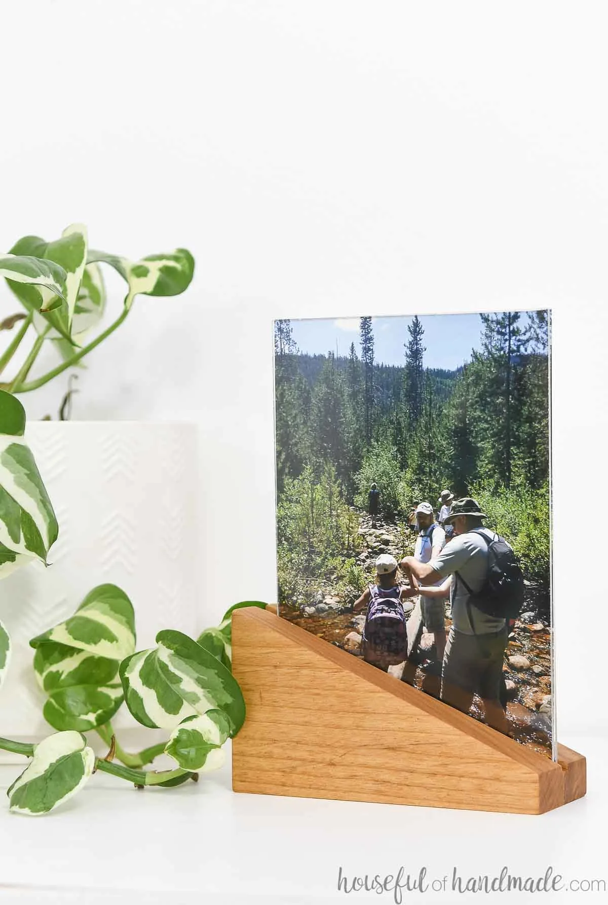 Block of wood cut on a diagonal holding a picture behind plexiglass in it next to a plant. 