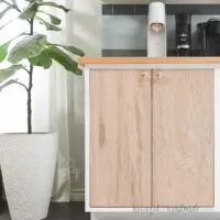Kitchen cabinet with doors installed with inset concealed hinges next to a plant.
