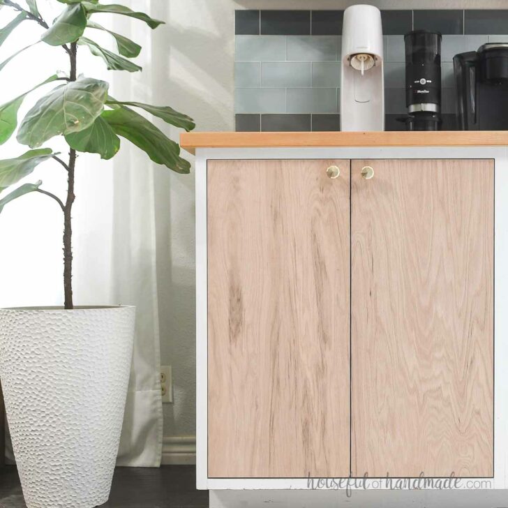 Kitchen cabinet with doors installed with inset concealed hinges next to a plant.
