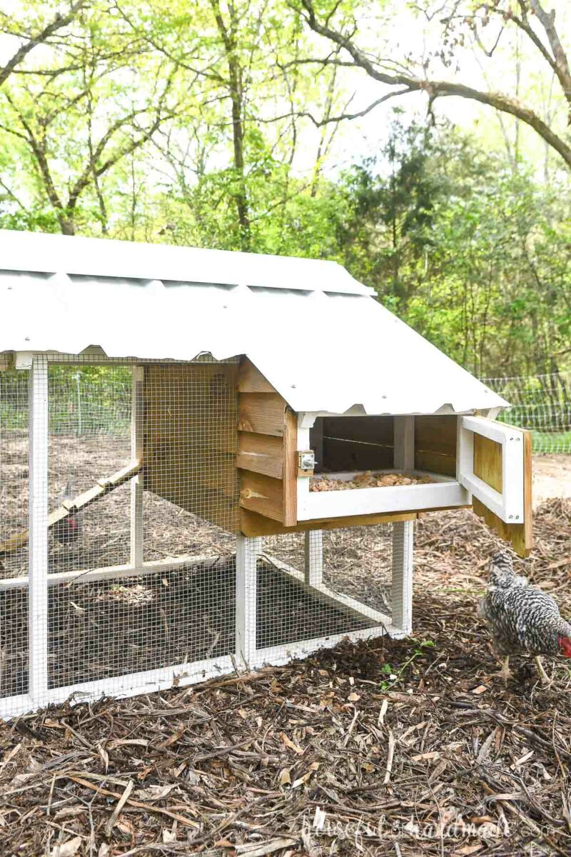 Small Chicken Coop Build Plans - Houseful of Handmade