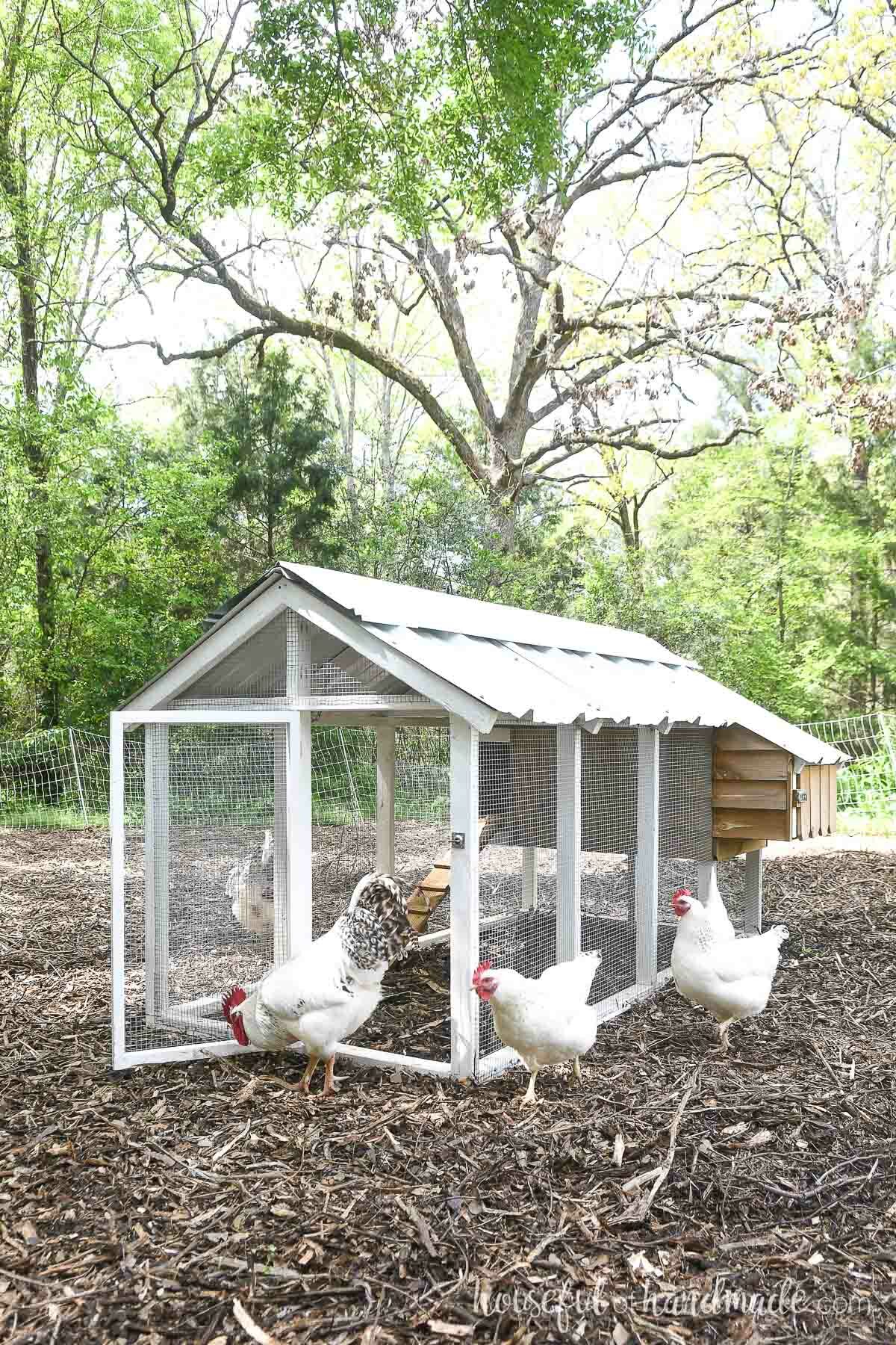 DIY chicken coop with small run and nesting box on the side. 