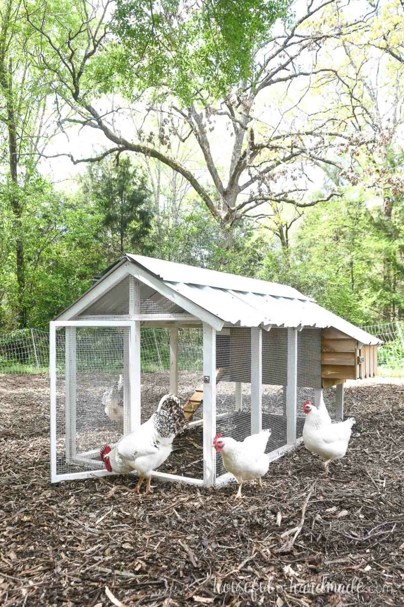 Small Chicken Coop Build Plans - Houseful of Handmade