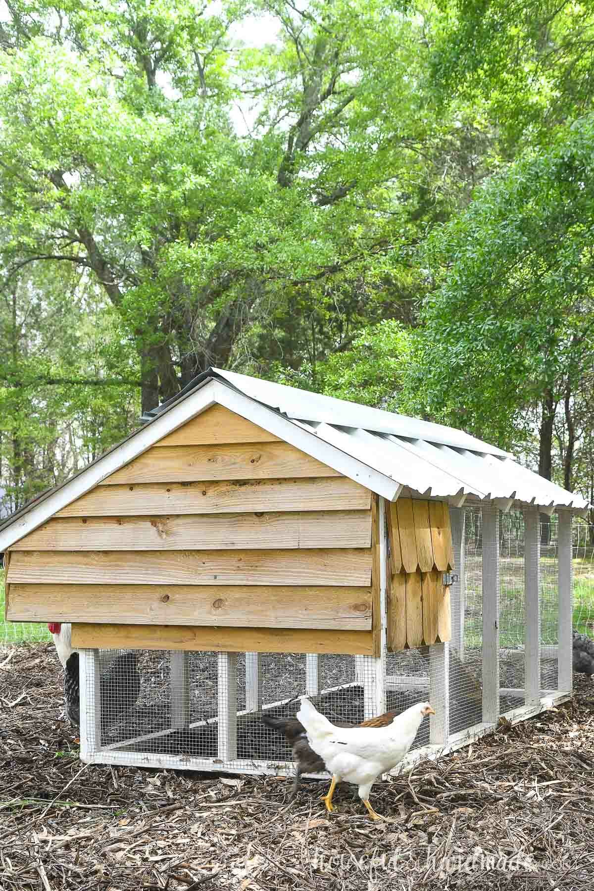 Small chicken coop clad in siding made from fence pickets with metal roof. 