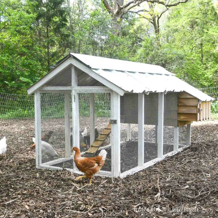 Small chicken coop in an area with mulch on the ground.