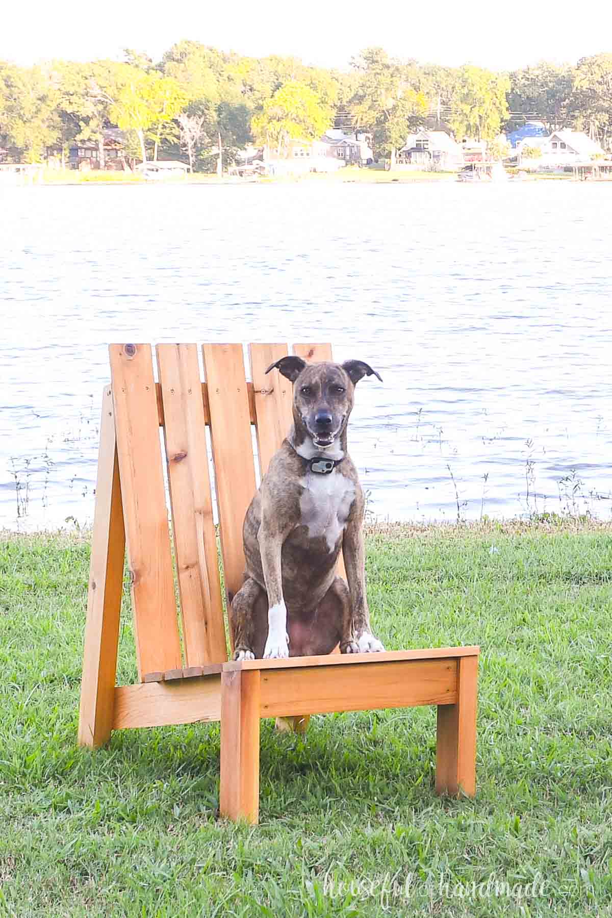 Dog sitting on the DIY modern adirondack chair on a lawn in front of a lake. 