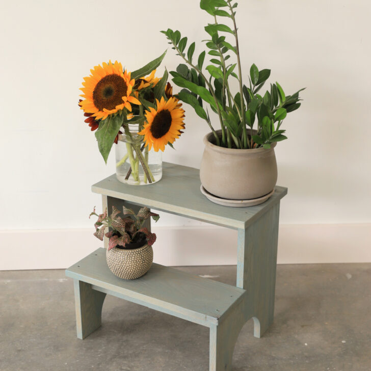 Two tiered side table with plants on it.