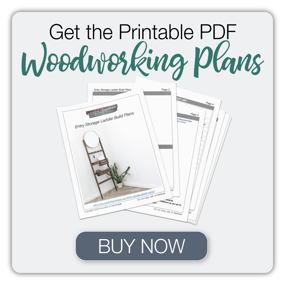 Button to buy the PDF woodworking plans for the entry storage ladder. 