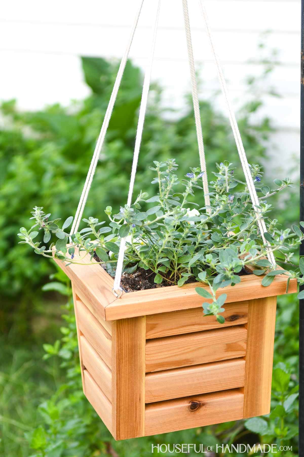 Square hanging basket from 1x2 boards with flowers inside. 