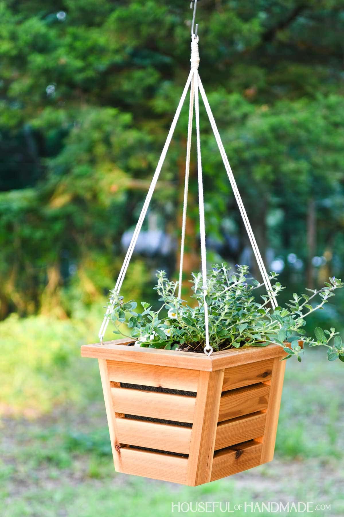 Cedar hangin planter with tapered bottom. 