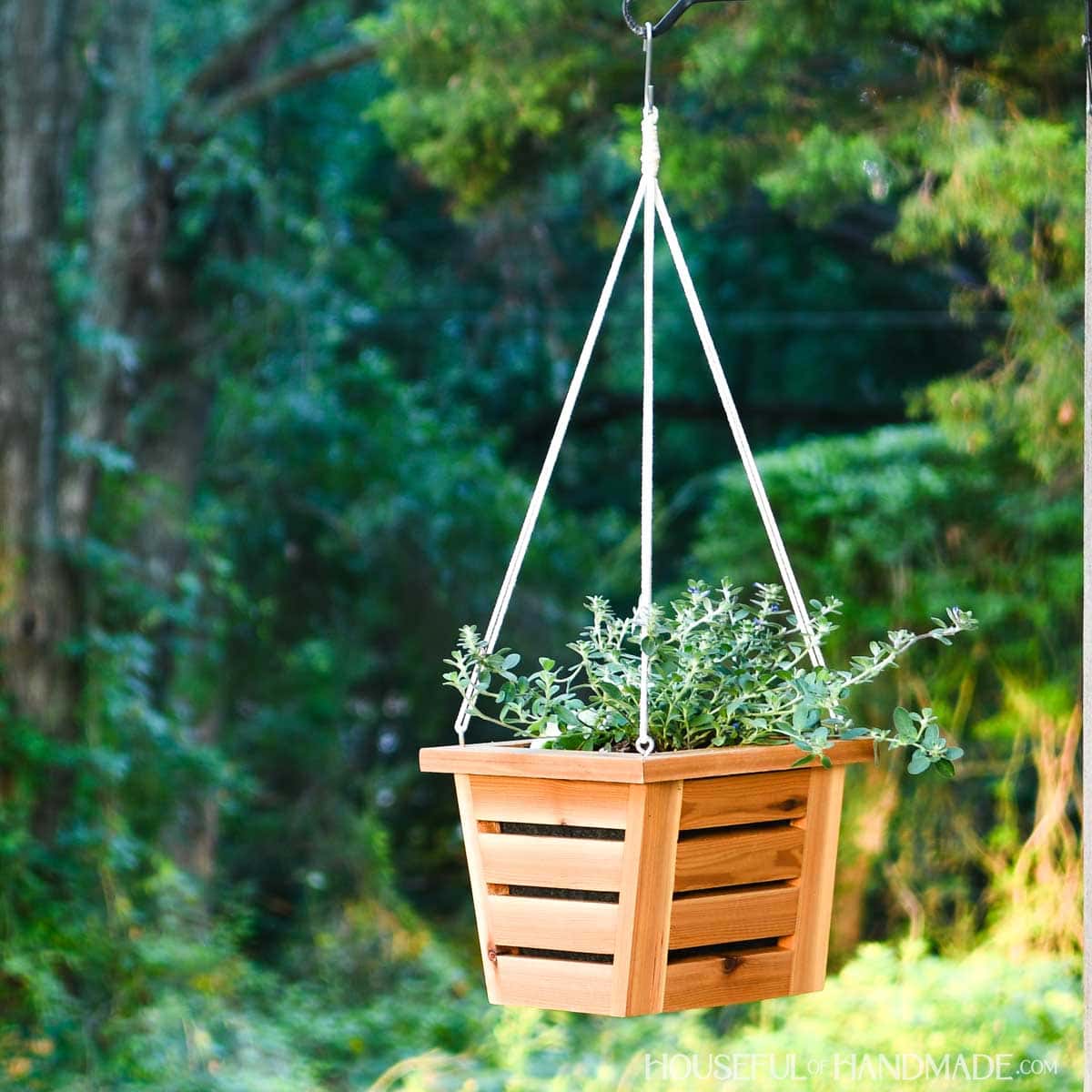 DIY square hanging planter made from cedar boards.