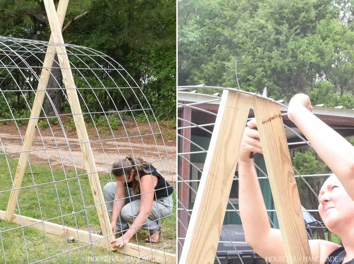 Creating angled back supports for the chicken tractor with 1x4 boards.