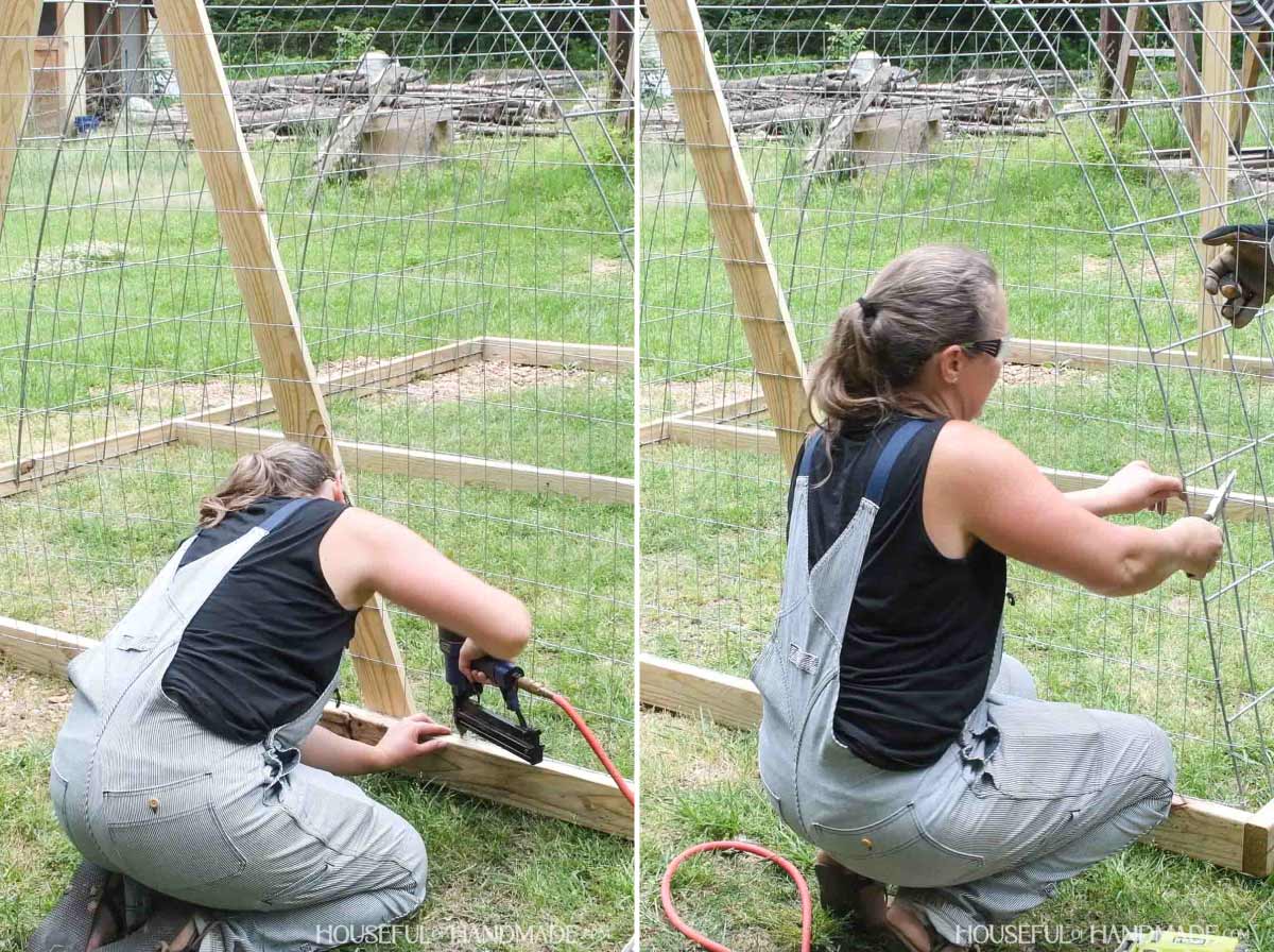 Attaching welded wire to the back of the chicken tractor.