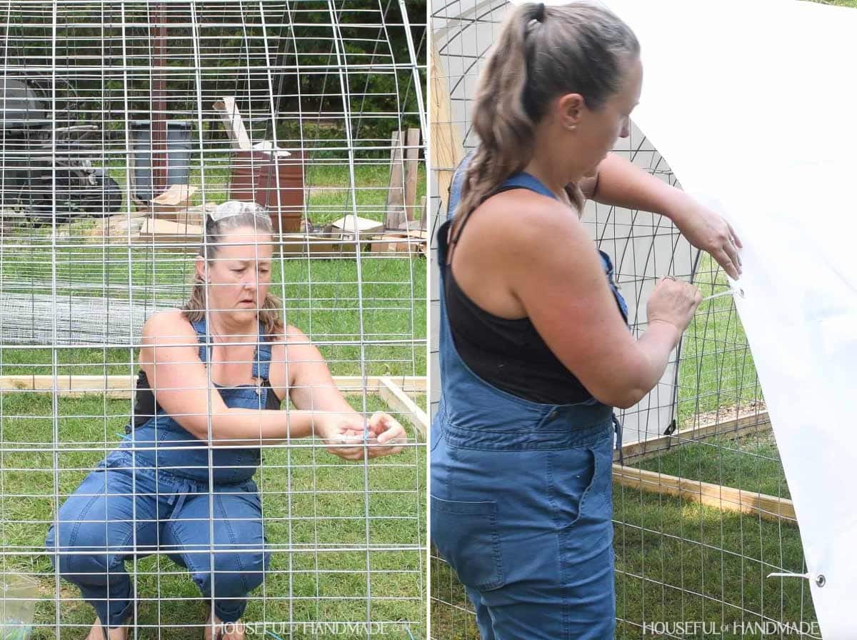 Zip tying welded wire to the cattle panel hoop where it is open and zip tying a tarp over the rest of it.