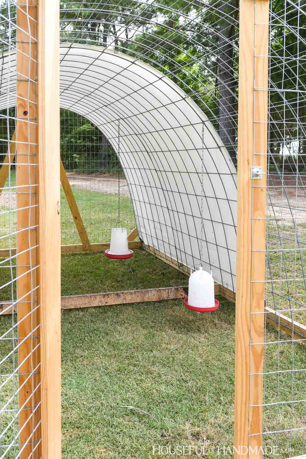 Chicken feeders hanging inside a cattle panel arch chicken tractor with chain.