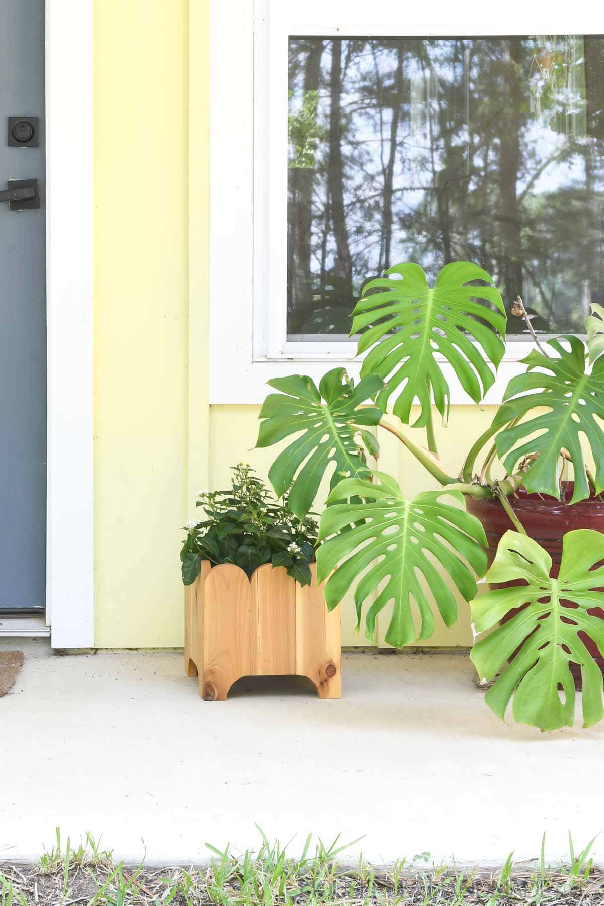 Front porch decorated with a a cedar planter with scalloped detail and monstera plant. 