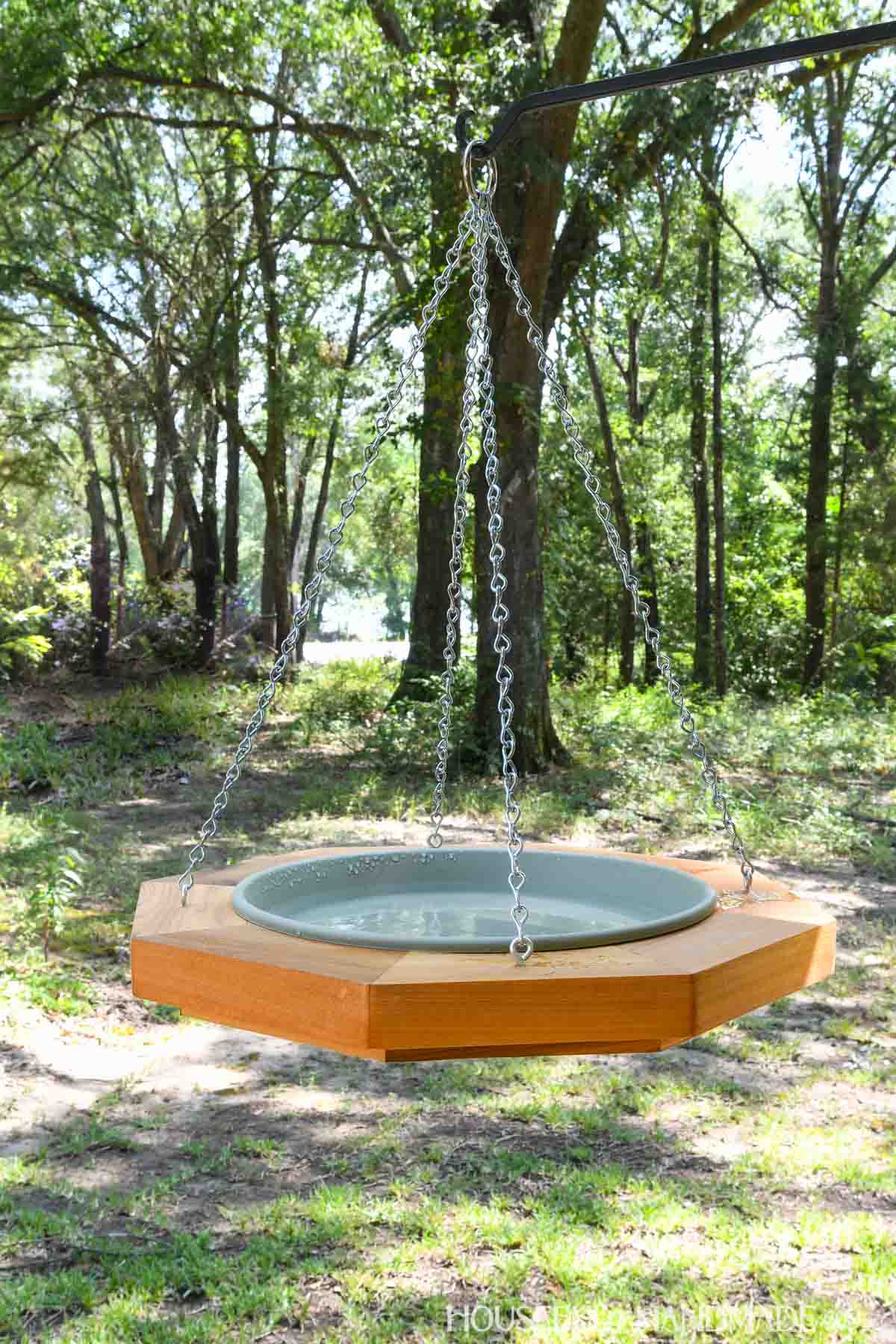 Cedar hanging birdbath with sage green saucer.